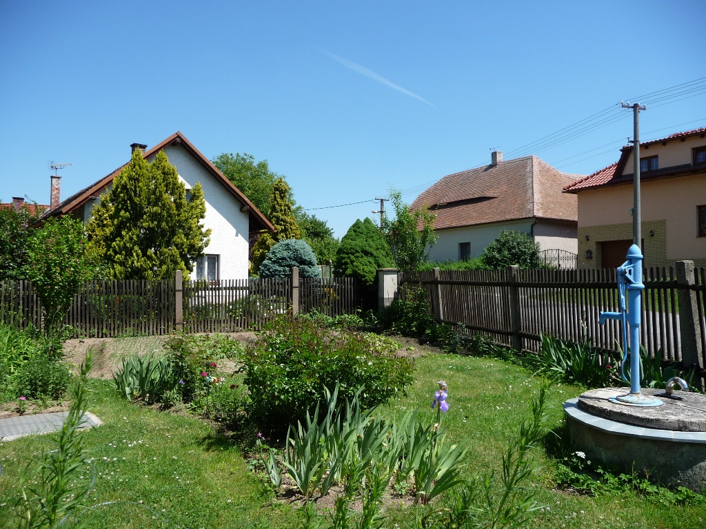 Třibřichy